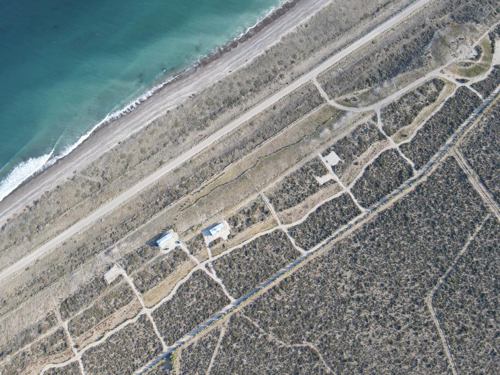 Aldea Vitivinícola de Mar Puerto Campo, desarrollo vitivinícola costero en San Antonio Este, Río Negro — foto 7 de 13. Proyecto del Arq. Germán Vázquez